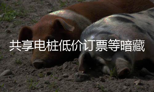 共享过节电桩低价订票等暗险 陷阱快乐诈骗也要藏风谨防