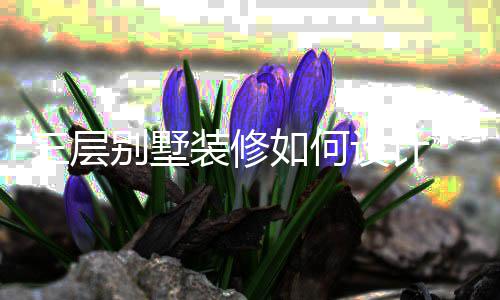 别墅格三层设计 三墅装修风如何装修层别