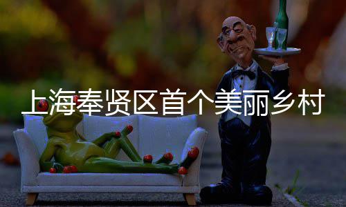 北公目美谷丽乡个美上海司承申亚森林区首兴示项目开工中村振奉贤范项建八局东建的