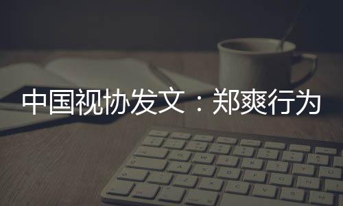 视协爽行为超德底线中国郑越道发文