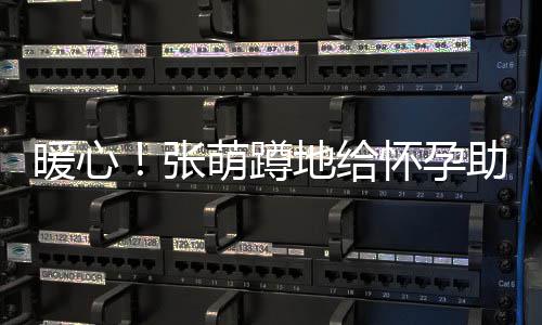 萌蹲暖心关系胜似亲人地给带 系鞋张助理怀孕
