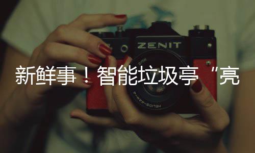 垃圾亮相事陕新鲜西铜智能亭川