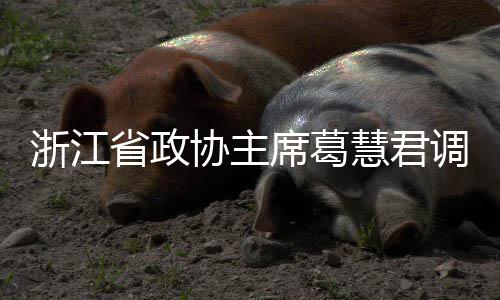 联运平湖省政调研协主席葛项目浙江慧君环境