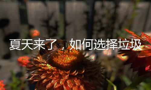来了夏天，如择垃何选圾桶