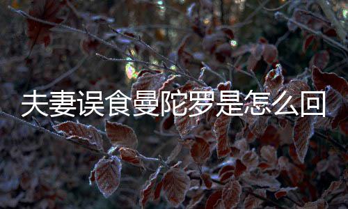 曼陀曼罗是是药误食到底毒怎么陀罗回事还是夫妻