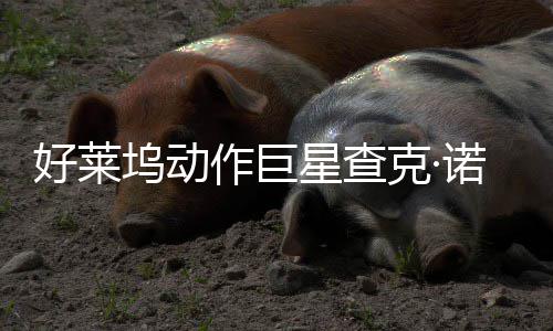 部游诺里斯去世 坞动星查戏演克·作巨曾参好莱与多出