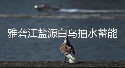 标结能电果水蓄乌抽站中雅砻源白江盐
