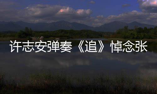 安弹手上抢镜悼念许志荣 奏追张国婚戒