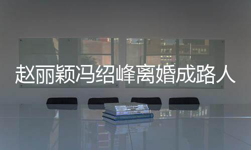 离婚两人割绍峰网曝人 赵丽正在做财颖冯成路产分